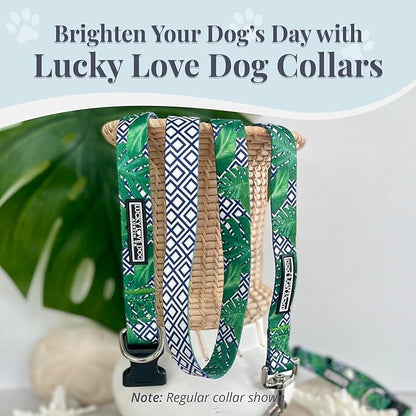 Lucky Love Dog Collar and Leash Set, Beautiful & Vivid Patterns, Easy On & Off Clasp Accessory (Blue Laguna, M Combo)