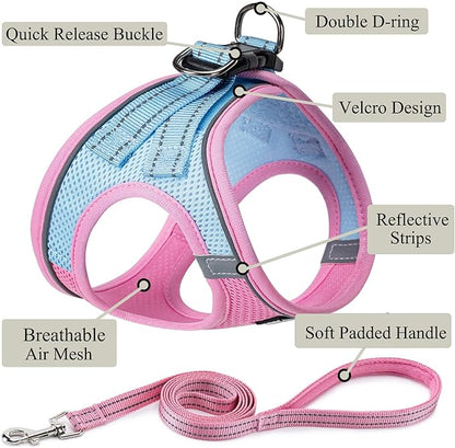 Dog Harness with Leash Set, No Pull Adjustable Reflective Step-in Puppy Pet Vest Harnesses for Small Medium Large Dogs and Cats,Pink Green XS