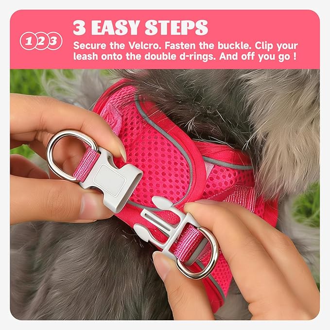 Bolux Dog Harness Small Sized and Leash Set, Step in Soft Light Puppy Vest, Breathable Mesh Pet Harness, Reflective for Safe Easy Walking.