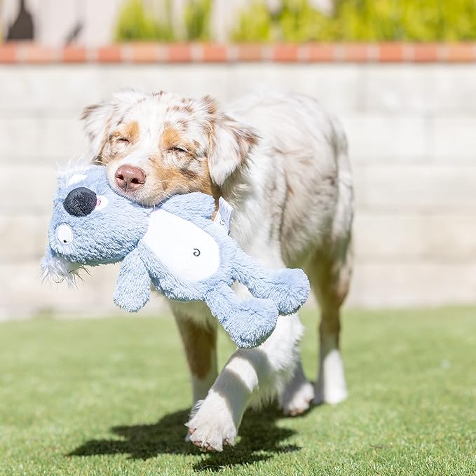 Huxley & Kent Slappies for Dogs | Kirby Koala (Small) | Squeak & Shake Dog Toy | No Stuff Squeaky Toy, TPR Ball in Head | Simulates Hunting Nature for Dogs