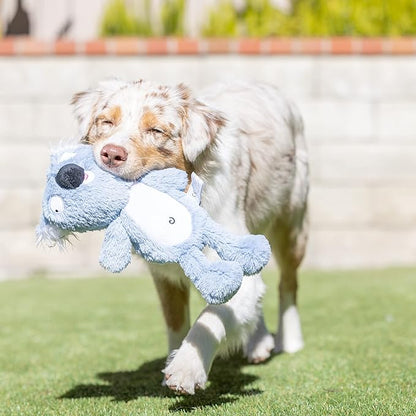 Huxley & Kent Slappies for Dogs | Kirby Koala (Small) | Squeak & Shake Dog Toy | No Stuff Squeaky Toy, TPR Ball in Head | Simulates Hunting Nature for Dogs