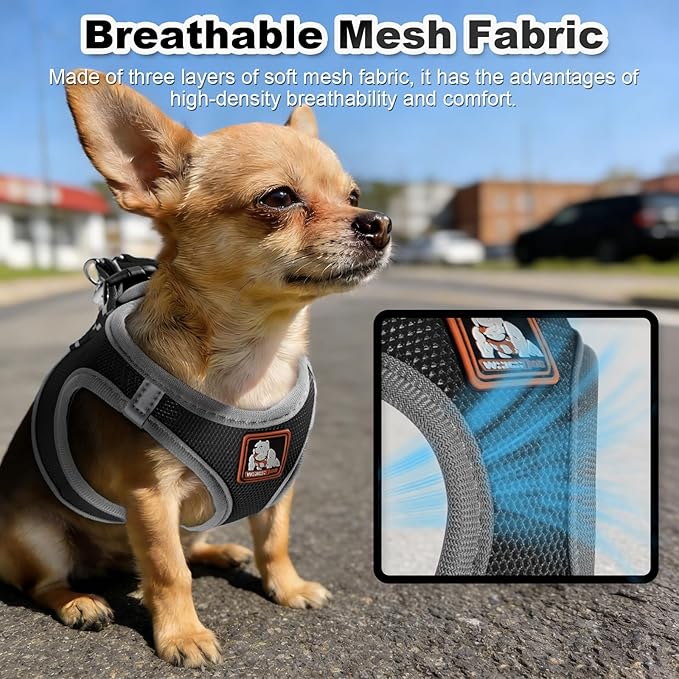 Dog Harness Medium Sized Dogs, Puppy Harness and Leash Set for Training, Running, Walking, Suitable for Small and Medium Dog Vest, Black, S