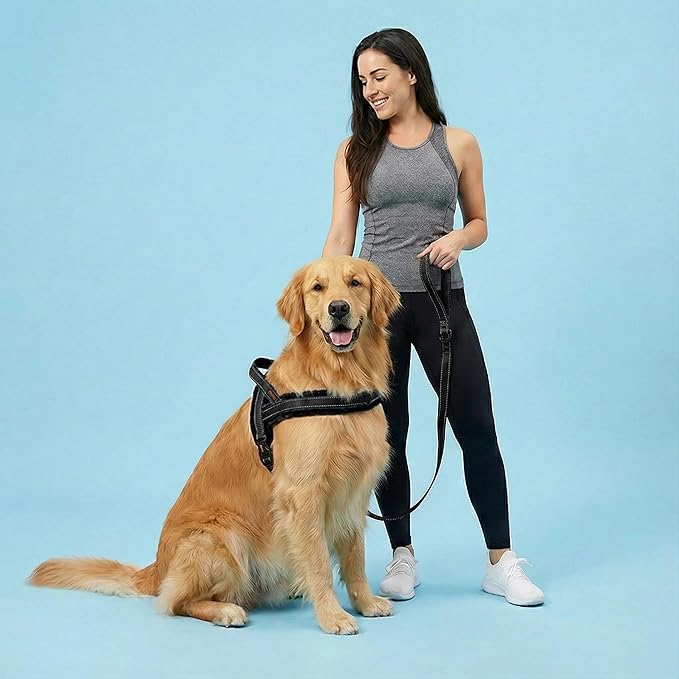 Didog Soft Flannel Padded Dog Vest Harness, No Pull/Quick Fit Reflective Dog Strap Harness, Easy for Training Walking (L:Chest 26-32", Black)