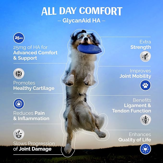 TopDog Health GlycanAid HA Advanced Joint Nutrition for Dogs (150 Chewable Tablets) Made in USA with USA Ingredients: Glucosamine HCL, Chondroitin, Hyaluronic Acid, MSM