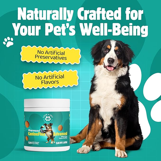 Love a Pet Advanced Hip & Joint Support – Joint Supplement for Dogs Bacon Flavor Soft Chews; MSM & Turmeric for Mobility & Glucosamine for Dogs – Dog Vitamins and Supplements, 120 Chews