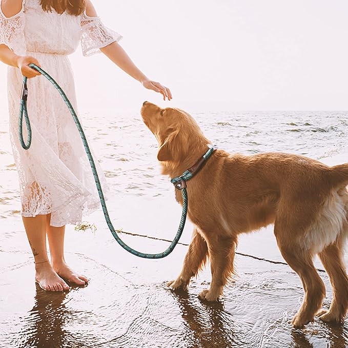 TwoEar 6FT Slip Lead Dog Leash, Heavy Duty Slip Leash for Dogs with Highly Reflective, Strong Rope Slip Leads No Pull Pet Training Leashes for Large Medium Dogs (1/2", Blue)