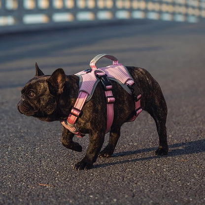 BELPRO Multi-Use Support Dog Harness, Escape Proof No Pull Reflective Adjustable Vest with Durable Handle, Dog Walking Harness for Big/Active Dogs (Pink, S)