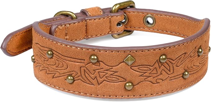 Blueberry Pet Premium Embossed Silver-Powered Freshness Microfiber Suede Leather Dog Collar in Saddle Brown