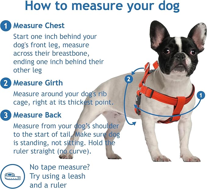 Kruz No Pull Dog Harness (Chest 21”-30”, Weight 22-53 lbs) Heavy-Duty Pet Harness for Medium Breeds, Ultra-Comfort Fit, Lifetime Durability, Adjustable Dog Harness No Pull Design (Amethyst, Medium)