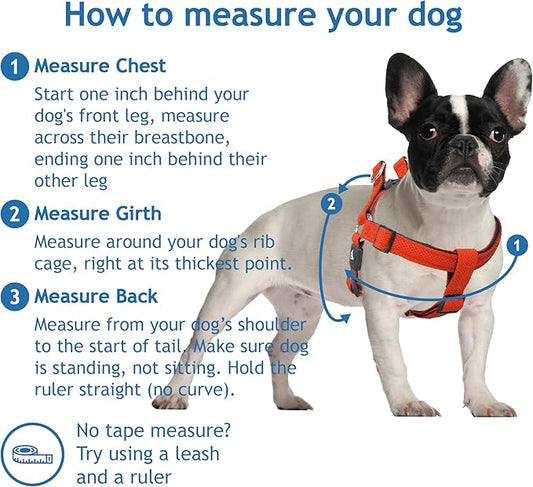 Kruz No Pull Dog Harness (Chest 26”-38”, Weight 44-88 lbs) Heavy-Duty Pet Harness for Large Breeds, Ultra-Comfort Fit, Lifetime Durability, Adjustable Dog Harness No Pull Design (Pink, Large)