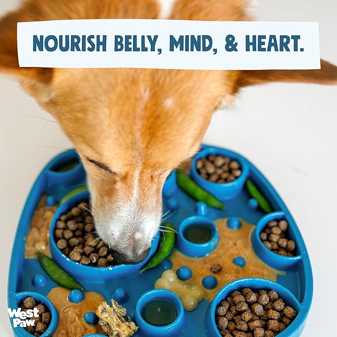 West Paw Seaflex Bubbles Feast Mat – All-in-One, Slow Feeder, Lick Mat – Encourages Foraging & Food Exploration - Engages Picky Eaters & Slow Feeding - Versatile – Easy to Clean, Non-Toxic -Periwinkle