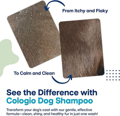 Dog Shampoo with Manuka Honey, Moisturizing Dog Shampoo for Sensitive and Dry Itchy Skin, Shampoo for Dogs with Allergies and Dry Skin, Odor Eliminator, Paraben-Free, Made in USA 16 oz