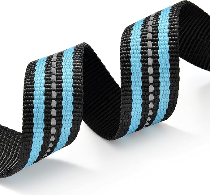 Mile High Life Reflective Dog Collar | Nylon Pet Collars wiith Buckle | Light Weight Puppy Collars | Light Blue Dog Collars for Large Dogs (Light Blue, L)