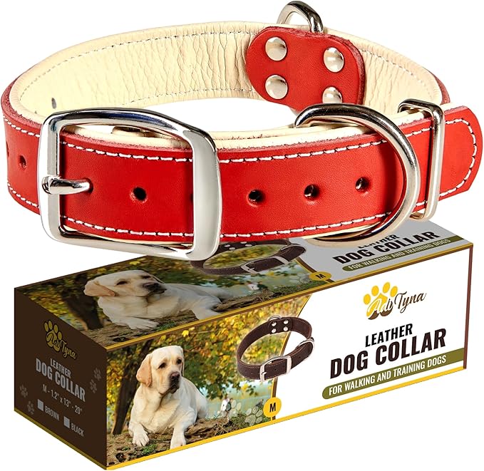 ADITYNA Heavy-Duty Leather Dog Collar for Medium Dogs - Soft Padded for Comfort - Red Dog Collar for Walking, Training, and Hiking