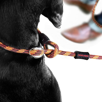 EzyDog Luca Slip Lead Dual Function Heavy Duty Rope Leash for Dogs That Pull Slip Leash & Gentle Lead Head Halter, Small (5.5ft x .23', Blue)