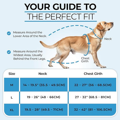 DogTraxs - Step-in Dog Harness - for Extra Large Dogs - Soft Padding & Reflective Trim - Adjustable No Pull Through Design - Control Handle - Top & Front Clip Durable - Pink