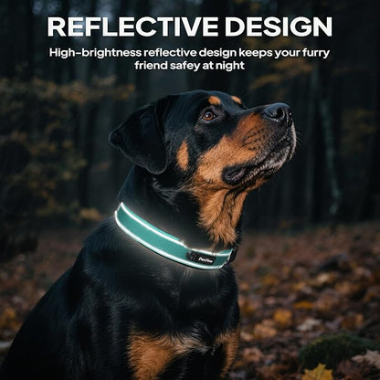 PetiFine Dog Collar for Large Dogs, Neoprene Padded and Adjustable, Reflective Wide Heavy Duty Pet Collars with Durable Metal Belt Buckle for Walking, Teal, L