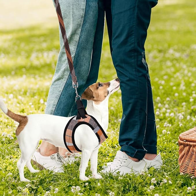 PUPTECK Adjustable Dog Harness Collar and Leash Set Step in No Pull Pet Harness for Small Medium Dogs Puppy and Cats Outdoor Walking Running, Soft Mesh Padded Reflective Vest Harnesses, Orange L