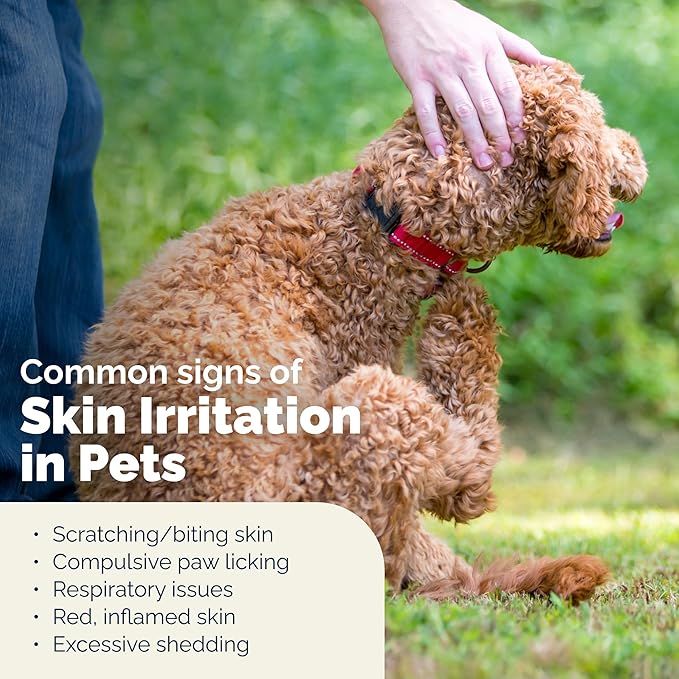 Vetnique Dermabliss Chlorhexidine for Dogs Skin Health - Antibacterial Medicated Spray - for Skin Infections & Irritation, Hot Spots & Redness Relief (Medicated Spray, 8oz)