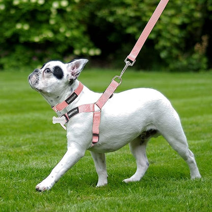 No Pull Dog Harness - Adjustable Step-in Harness & Leash Set for Small, Medium, Large Dogs - Escape Proof Soft Pet Harness for Walking, Training, Hiking, Outdoor Activities