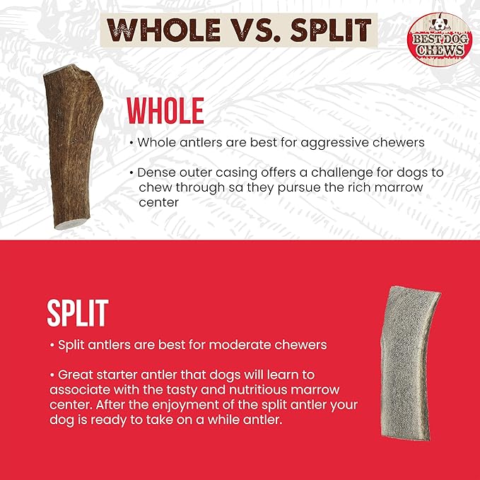Best Dog Chews Elk Antlers for Dogs Large - Premium Natural Antler Dog Chew for Aggressive Chewers - Long-Lasting Deer Antler Chews - Ideal for Medium to Big Breed Dogs - Elk Bones and Antlers Durable