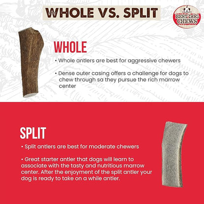 Best Dog Chews Elk Antlers for Dogs Large - Premium Natural Antler Dog Chew for Aggressive Chewers - Long-Lasting Deer Antler Chews - Ideal for Medium to Big Breed Dogs - Elk Bones and Antlers Durable