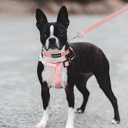 No Pull Dog Harness - Adjustable Step-in Harness & Leash Set for Small, Medium, Large Dogs - Escape Proof Soft Pet Harness for Walking, Training, Hiking, Outdoor Activities