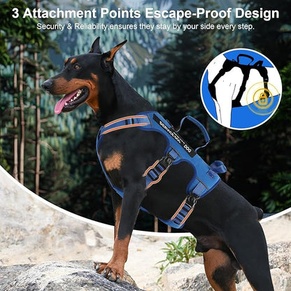 Escape Proof Dog Harness for Large Medium Sized Dogs Six Point Adjustable, Service Dog Vest Harness and Leash Set, No Pull Dogs Harnesses with Handle, XL Dog Harnesses for Walking(Blue, L)