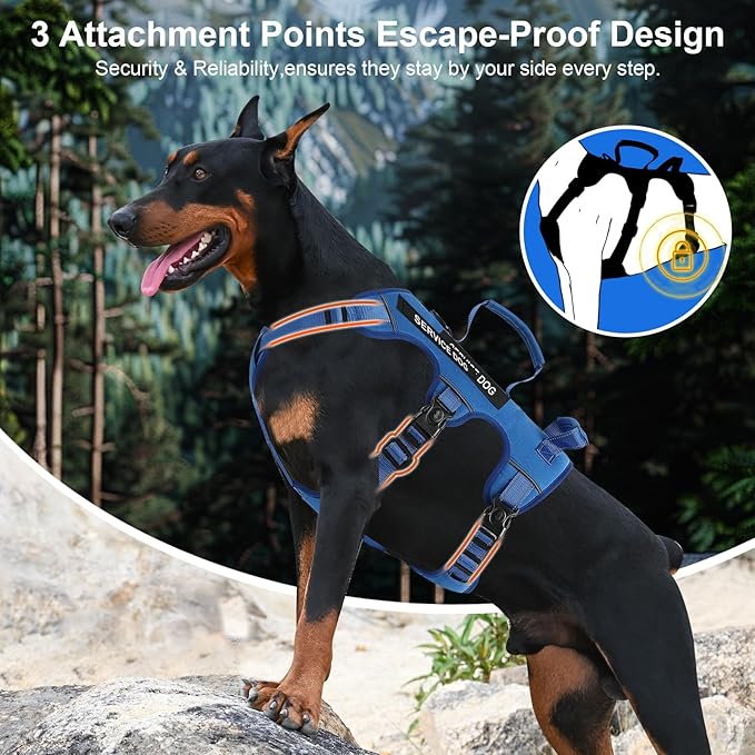 Escape Proof Dog Harness for Large Medium Sized Dogs Six Point Adjustable, Service Dog Vest Harness and Leash Set, No Pull Dogs Harnesses with Handle, Medium Dog Harnesses for Walking(Blue, M)