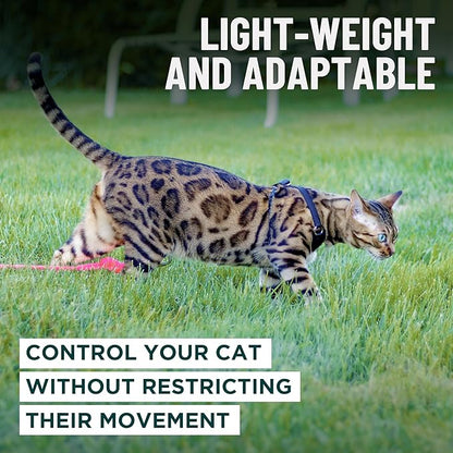 Houdini™ Escape Proof Cat Harness and Leash Set by OutdoorBengal – Turquoise, Medium Cat Harness for Walking