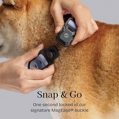 2026 New Edition, Fei & Eve PVC MagEase Dog Collar - Patented Magnetic Buckles | Fur-Safe | 450LB Escape-Proof | Adjustable Fit | Small (Twilight Gray)