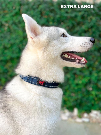 Tuff Pupper Heavy Duty Dog Collar with Handle | Ballistic Nylon Heavy Duty Collar | Padded Reflective Dog Collar with Adjustable Stainless Steel Hardware | Convenient Sizing for All Breeds