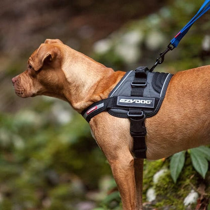 EzyDog Convert Dog Harness – Trail-Ready Rugged Harness for Walking, Hiking & Outdoors with Reflective Piping, Badge Attachment Points, Traffic Handle, & Comfort Lining (X-Large, Charcoal)