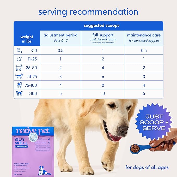 Native Pet GutWell Stress Support - Dog Anxiety Relief & Calming Treats - Tasty Food Topper for Dog Stress and Anxiety Relief - Support Gut-Brain Axis with Triple-biotic Blend & Magnesium - 60 Scoops
