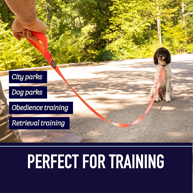 Leash Boss 10 Foot Dog Leash with Padded Handle - Long Leash for Hiking, Camping, Exploring, or Walking (10 Feet, Black/Red/Grey)