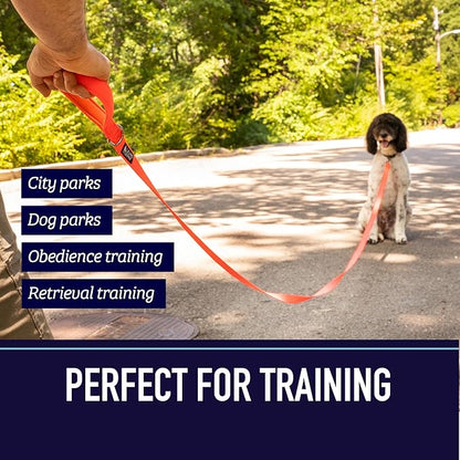 Leash Boss 10 Foot Dog Leash with Padded Handle - Long Leash for Hiking, Camping, Exploring, or Walking (10 Feet, Black/Red/Grey)