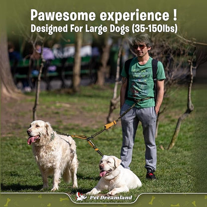 Pet Dreamland Exquisite Hands Free Double Dog Leash for Two Dogs with Tangle-Free Swivel. Premium Quality & Versatile for Running. You Will Absolutely Love This Amazing Waist Leash (Khaki & Orange)