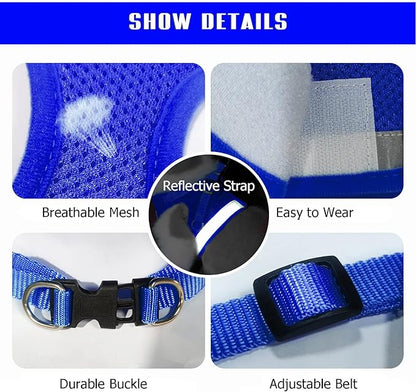 FEimaX Dog Harness and Leash Set for Walking, Soft Mesh Adjustable Easy Control Lightweight Cat Vest Harnesses with Reflective Strips, Escape Proof Small Dogs Cats Vests (Blue, Medium)