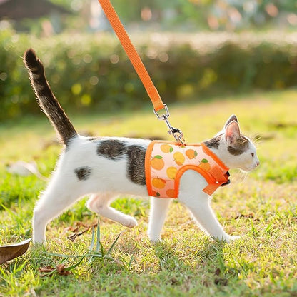 BINGPET Cat Harness with Leash Escape Proof - Fashionable Mesh Cat Dog Walking Harness Leads, Adjustable for Kitties Puppies Small Animals,Orange,S