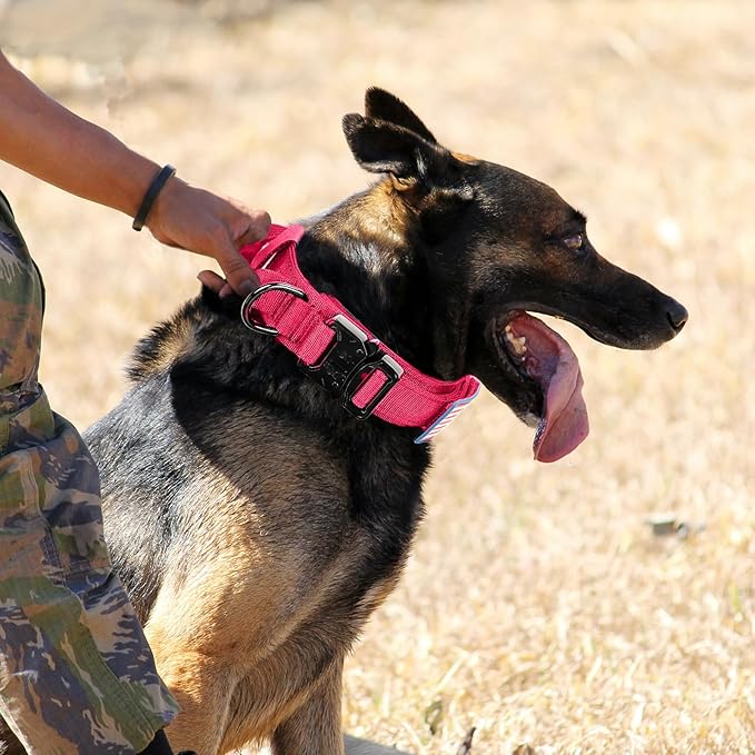 Tactical Dog Collar Military Dog Collar Adjustable Nylon Dog Collar Heavy Duty Metal Buckle with Handle for Dog Training,with Patches(Pink(1PCS), M)