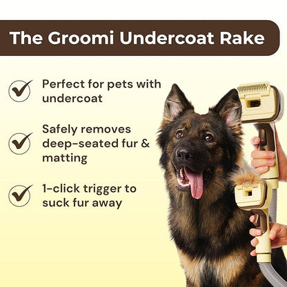 GROOMI Vacuum Pet Brush Kit – 3‑in‑1 Dog & Cat Grooming Tool, Self‑Cleaning Deshedding Brush & Pet Hair Remover, Universal Vacuum Attachment Including Dyson, Short, Medium & Long Fur, All Breeds