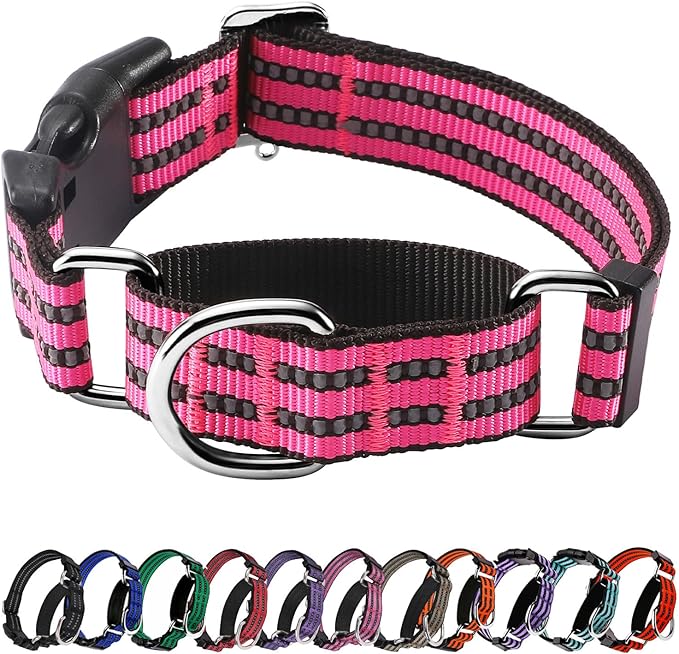 Hikiko Martingale Dog Collars Reflective Nylon Dog Collar with Quick Release Buckle Adjustable Training No Slip Dog Collar (X-Large, Hot Pink)