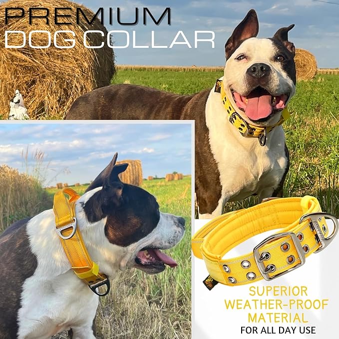ADITYNA Heavy Duty Dog Collar for Medium Dogs - Reflective Yellow Collar with Handle for Training, and Walking - Wide, Thick, Tactical, Soft Neoprene Padded