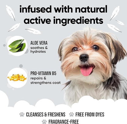 Derma Sensitive Dog Shampoo with Aloe Vera and Pro Vitamin B5 (169.07oz)