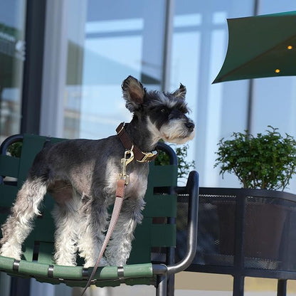 PET ARTIST PU Leather Dog Collar, Bright & Stylish Brown Dog Collar with Quick Release Gold Metal Buckle, Soft Nylon Padded Durable Pet Collars Adjustable for Small Dogs, Neck Fit 9-14"