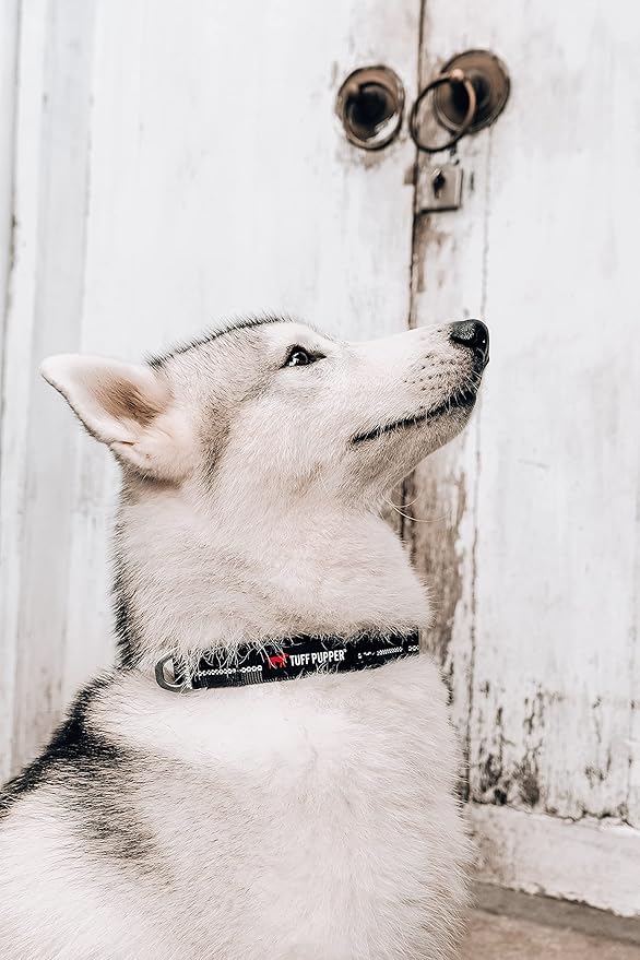 Tuff Pupper Heavy Duty Dog Collar | Tough Dogs Collar | Reflective Collars with Aluminum D-Ring Leash Clip | Separate ID Tag Attachment Keeps Engraved Dog Tags Quiet | Easy Sizing for All Breeds