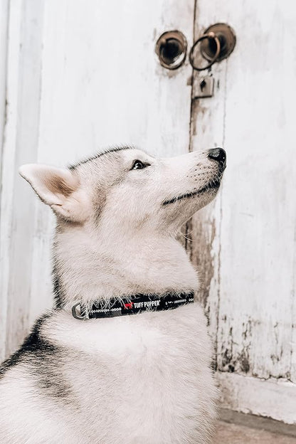 Tuff Pupper Heavy Duty Dog Collar | Tough Dogs Collar | Reflective Collars with Aluminum D-Ring Leash Clip | Separate ID Tag Attachment Keeps Engraved Dog Tags Quiet | Easy Sizing for All Breeds