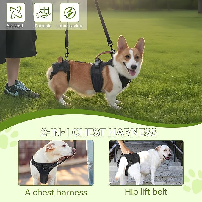 Dog Lift Harness for Male Dogs - 2-in-1 Full Body Support Aid & Sling, Comfortable & Chafe-Free for Post-Surgery Recovery and Elderly Dog Mobility, Hind Leg Assistance, Supports up to 40 Lbs (M)