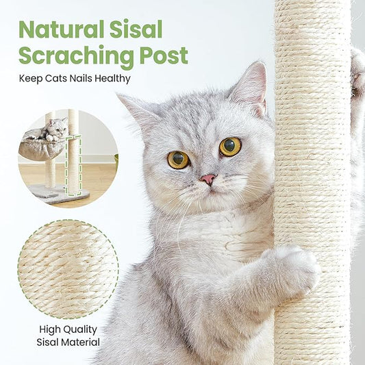 Small Cat Tree Tower with Scratching Post Condo Indoor - 42 Inch Cats Bed Hammock Perch for 2 Corner Cats Large Adult - Medium Short Compact Multi Level Cat House - Tall Climbing Gym Towers Furniture