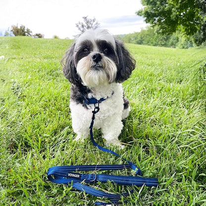 Best Pet Supplies Voyager Reflective Dog Leash or Collar with Neoprene Handle, for Small, Medium, and Large Breed Puppies, Cute and Heavy Duty for Walking, Running and Training - Royal Blue (Leash), L